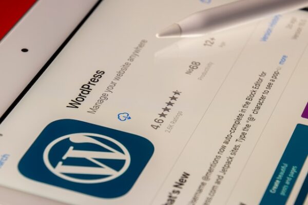 What is WordPress Website and What is Hosting